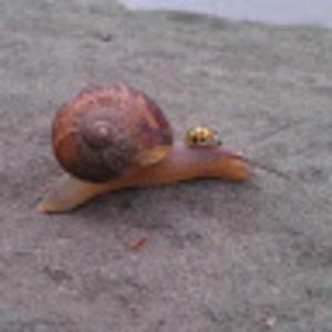 Meet your Posher, Spencer